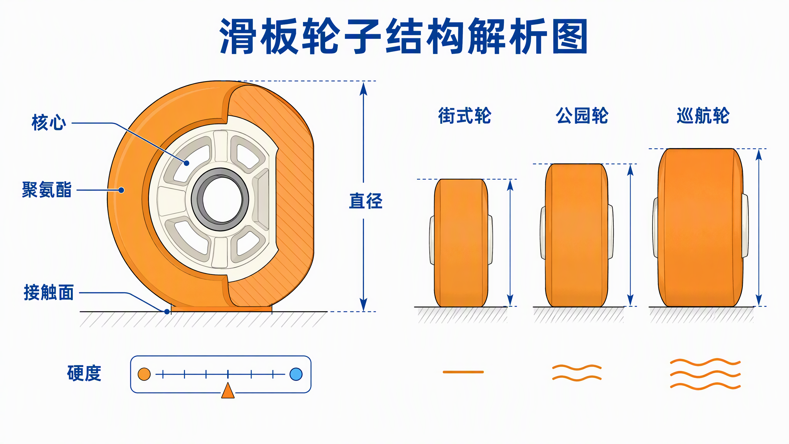 滑板轮子结构解析图