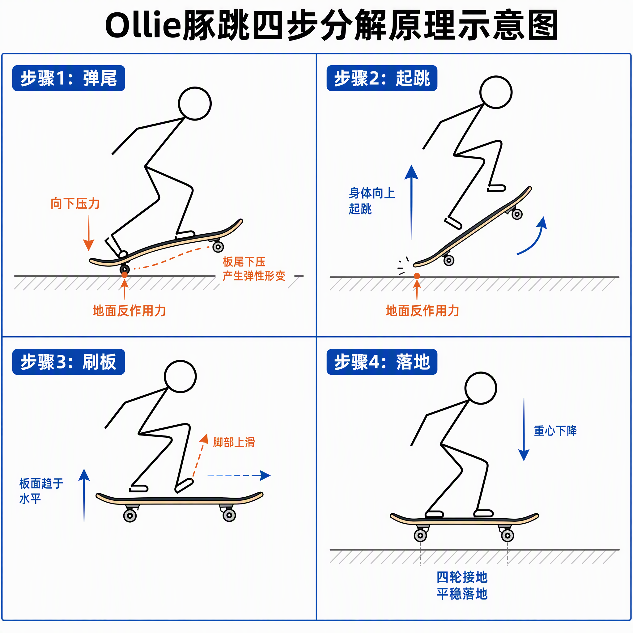 Ollie豚跳四步分解原理